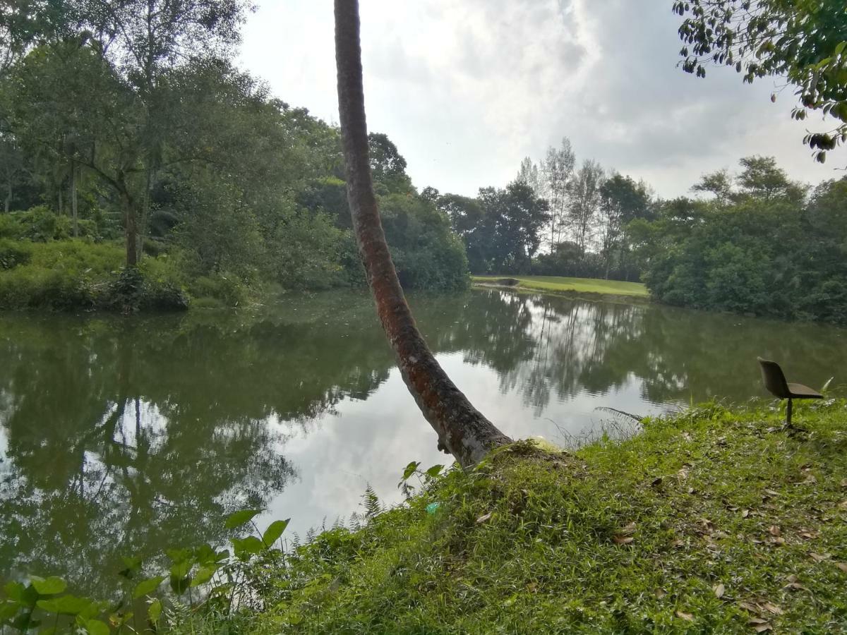 Janaview Taiping Hotel Exterior foto